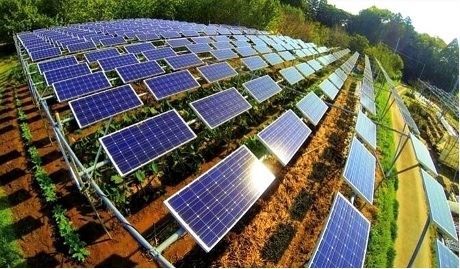 Reseach & Development