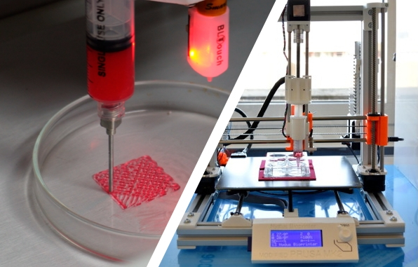 Reseach & Development